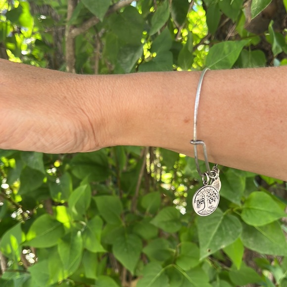 Alex and Ani Energy Bracelet - Picture 2 of 4